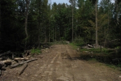 IMG_09562028400x30029