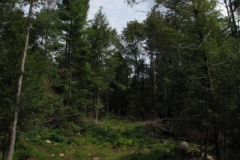IMG_09572028400x30029