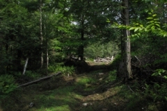 IMG_09602028400x30029