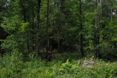 IMG_09612028400x30029