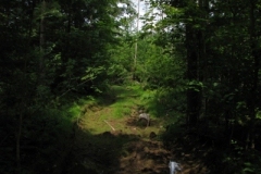 IMG_09652028400x30029
