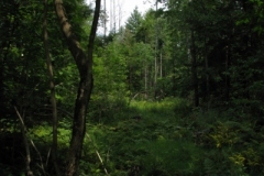 IMG_09662028400x30029