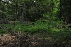 IMG_09682028400x30029