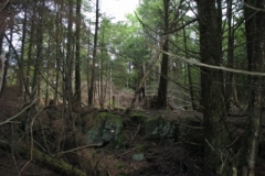 IMG_09802028400x30029