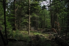 IMG_09852028400x30029