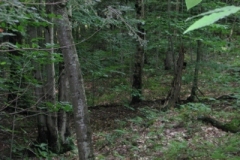 IMG_10022028400x30029