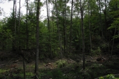 IMG_10052028400x30029