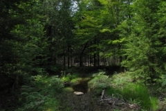 IMG_10072028400x30029