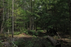 IMG_10082028400x30029