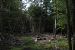 IMG_10092028400x30029