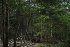 IMG_10112028400x30029