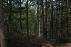 IMG_10122028400x30029