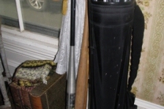 IMG_10302028300x40029