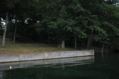 IMG_8368-2-400x300